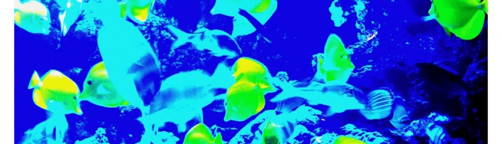 Shenna Jean Was Here